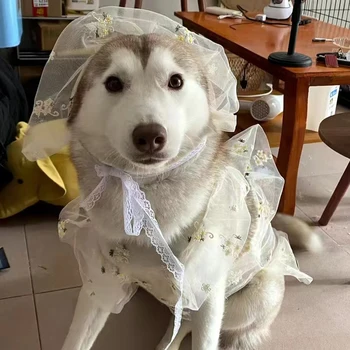 Büyük Köpek Giysileri Yaz Büyük Köpek Elbise + Şapka Kaniş Schnauzer Corgi Samoyed Husky Labrador Golden Retriever Köpek Giyim Etek