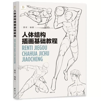 Temel Eğitimi İnsan Vücudu Yapısı Çizim Sanat Kitabı Dinamik yapı Teknikleri İnsan Vücudu Eskiz Defteri