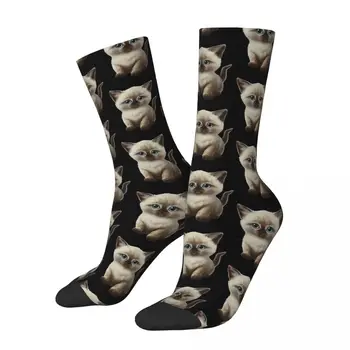 Siyam Yavru kedi Erkek Kadın çorap açık yenilik İlkbahar yaz sonbahar Kış Çorap Hediye
