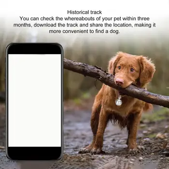 Evcil hayvan GPS Bulucu telefon uzaktan kumandası GPS Tracker Pet yaka etiketi IP67 Su Geçirmez Güzel Çan Charm Takip Cihazı Anti-kayıp Bağlantı Noktası
