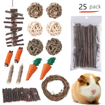 Hamster Oyuncak Peyzaj Kombinasyonu Set Hollandalı Domuz Isırma Çim Topu Kanal Pet Malzemeleri