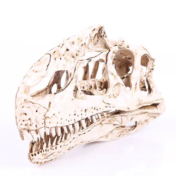 Tek sırt kemik reçine, dinozor kafatası kafatası hayvan araştırma öğretim yaratıcılık ev dekorasyon Cadılar Bayramı aksesuarları