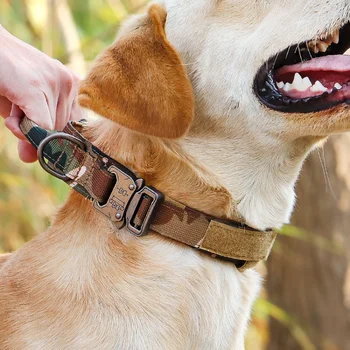 Kişiselleştirilmiş Askeri Taktik köpek tasması Özel Naylon köpek tasması Ücretsiz Kazınmış Ayarlanabilir Eğitim Yaka Orta Büyük Köpekler İçin