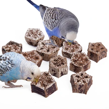 Pet Papağan Oyuncaklar Doğal Gaga Taşlama Oyuncak Kurutulmuş Meyve Blokları Kuşlar Muhabbet Kuşları DropShipping