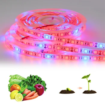 LED Bitki Büyüme ışığı 5M SMD5050 Tam Spektrum Çiçek çift taraflı yapışkan Kapalı topraksız sera Büyüme Lambaları DC12V